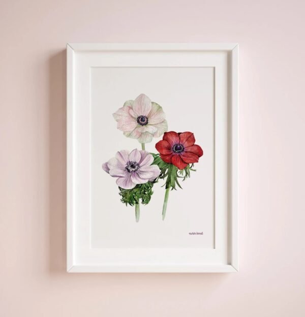 Print Flores Anémonas Acuarela